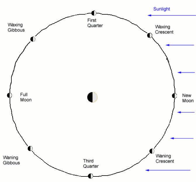 Figure 1:  The phases of the Moon based on the Moon’s position in its orbit.  In this illustration, we are looking down on the Earth’s North Pole, the Sun is off-page to the right, and the Moon is orbiting the Earth counter-clockwise.