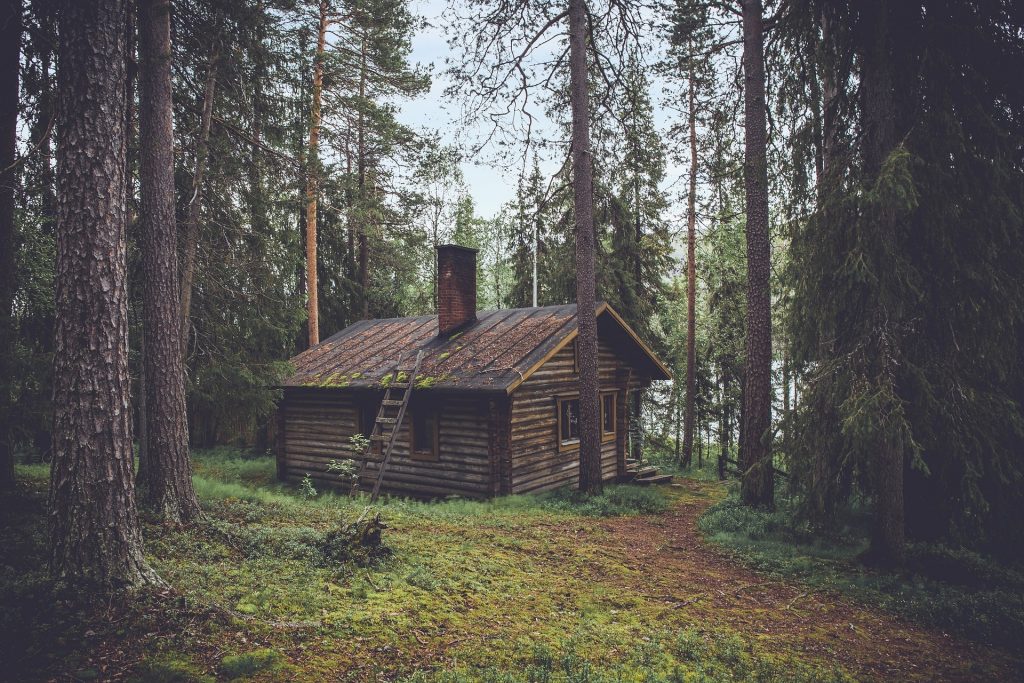 cabin in woods