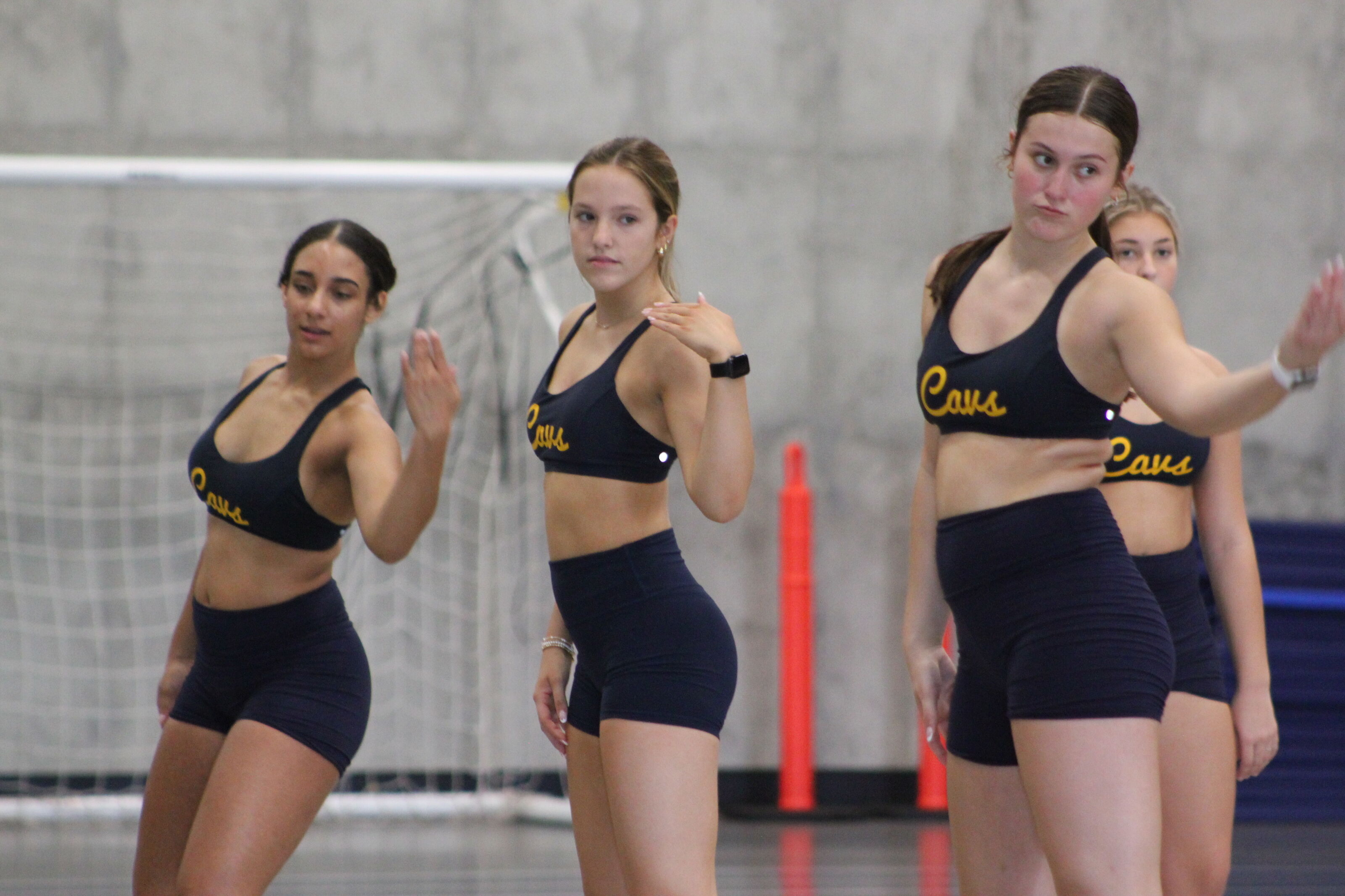 A Busy Fall For The Golden Girls