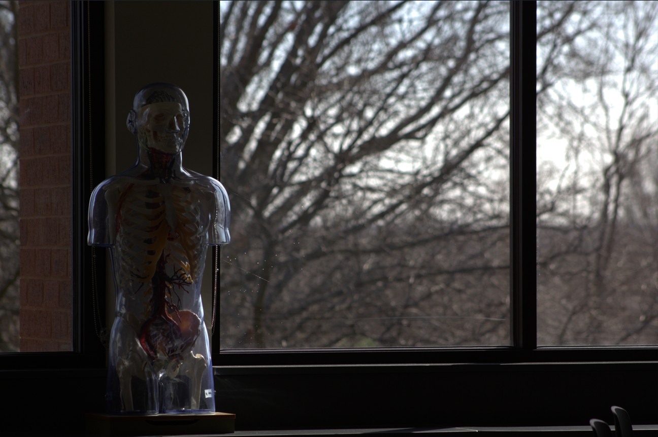JCCC’s Registered Nurse Program Helps Student Find Their Why