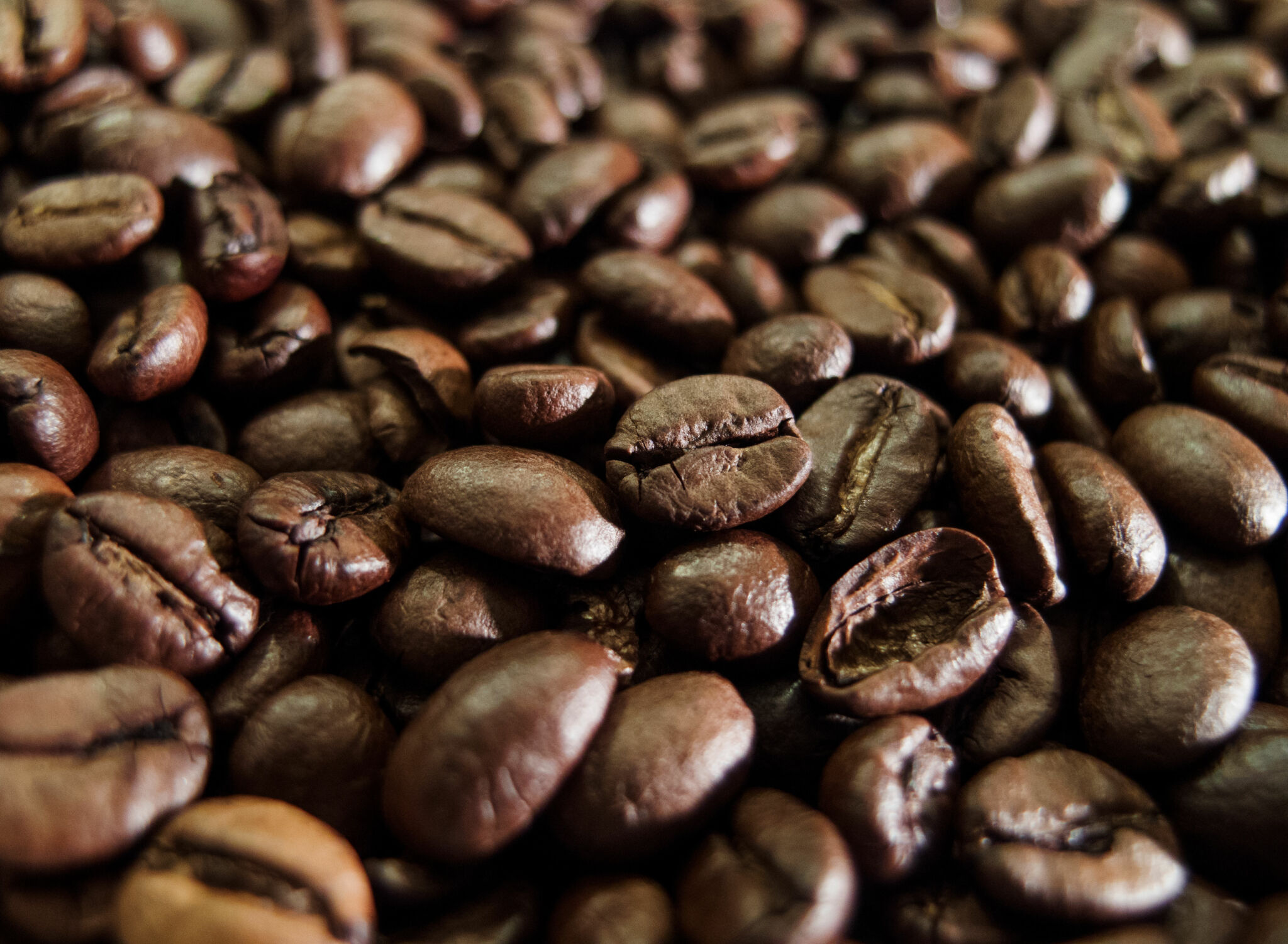How to College: JCCCs Library Lowdown and Caffeine Connection